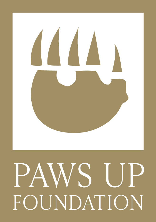 Paws Up Foundation